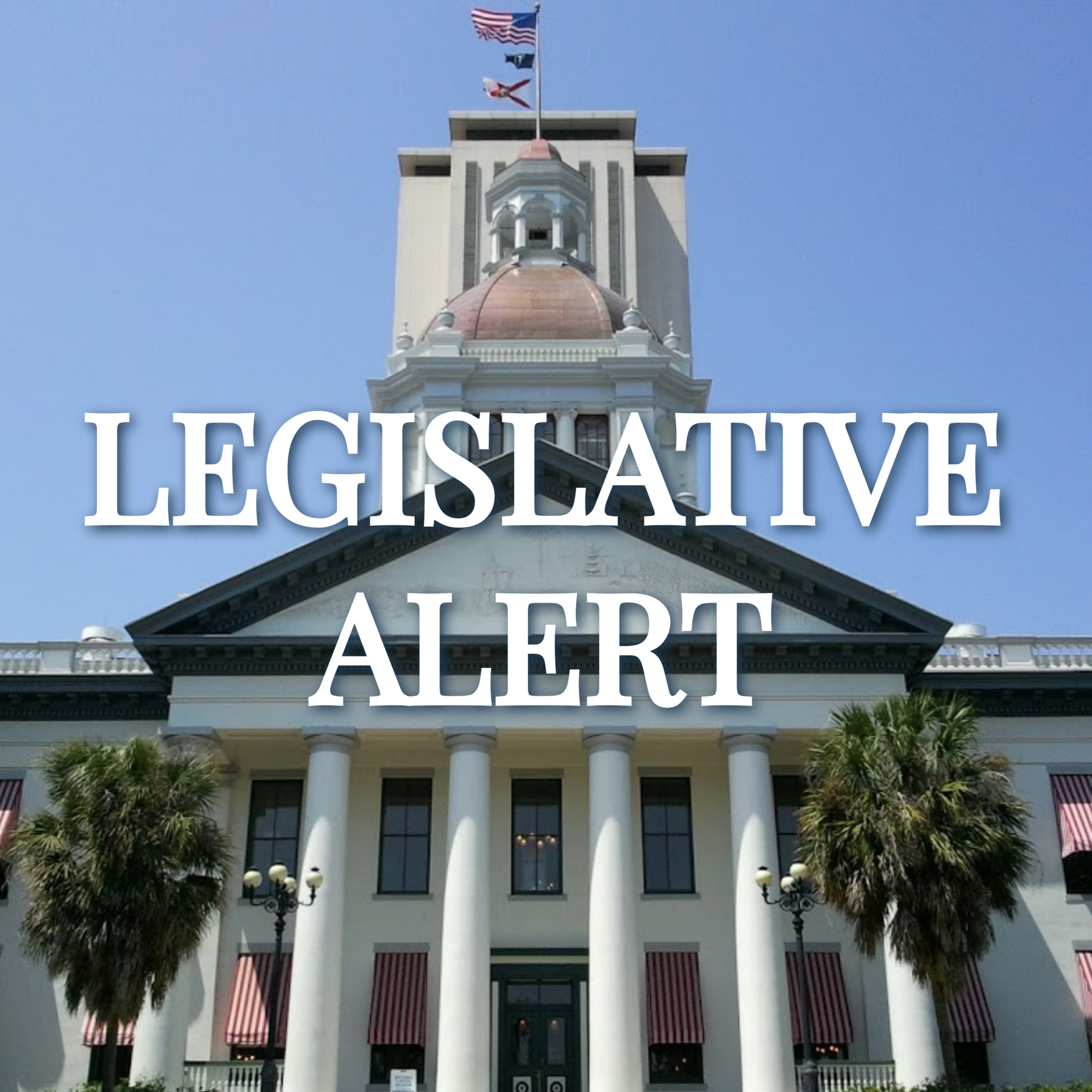 Florida Alert!  House Committee Takes on Assisted Living Deregulation Bill Image